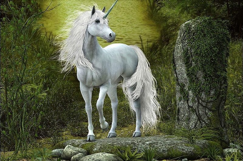 Unleashing the Magic of Unicorndelight88